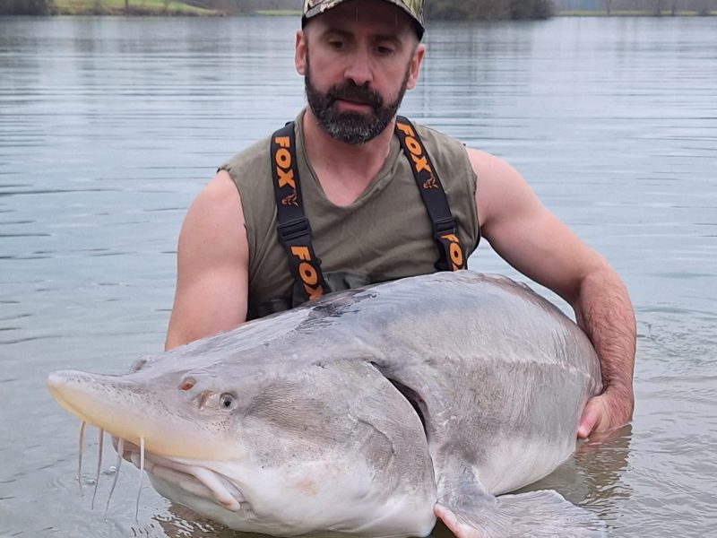 Jezero JESETER