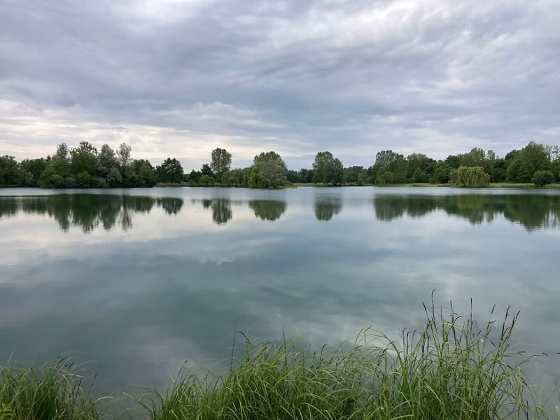 KoiLand Lake 2.0