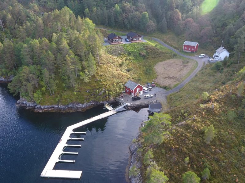 Kemp v Hammarvik – Aure