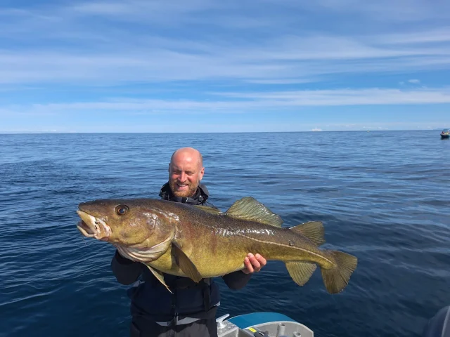 Jak na severu, tak i níže v oblasti ostrovů Smøla a Hitra se chytají krásné ryby. 🐟🎣
Kdo by chtěl ještě vyrazit a nemá rezervaci, napište nám a zjistíme, jaké jsou možnosti. Vždy se nějaký volný termín najde. 😉

Jsme tu pro Vás! 
Hodně štěstí a hlavně na sebe dávejte pozor! Na moři vždy s respektem a neriskovat. 🙏🙏

Jirka