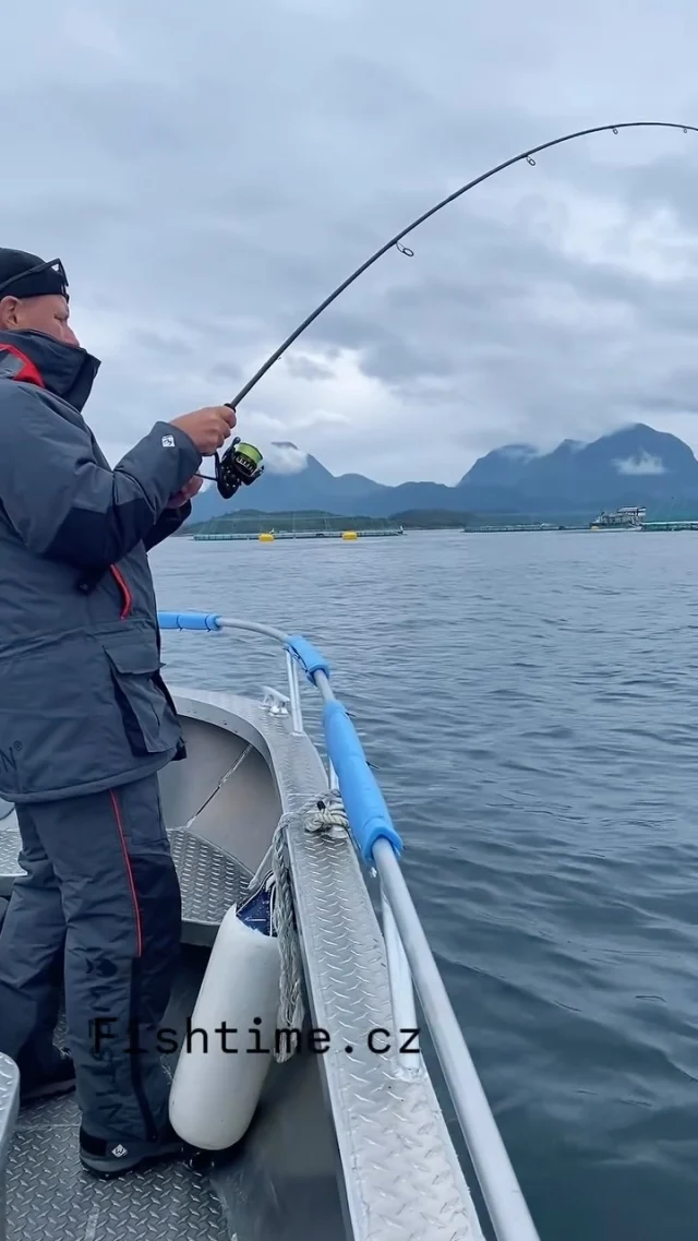 Krásný kemp ve střední část Norska! Nové ubytování, kvalitní lodě, skvělá lokalita! 🐟🎣🎣
Termíny 2026: 22-27.8., 5.9. - 12.10
Více zde: https://fishtime.cz/loviste/rybarsky-kemp-ve-foldfjorden/