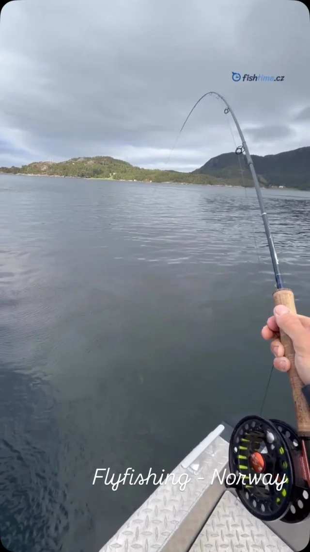 Flyfishing in Norway! 🤩🎣🐟#fishtime #rybareni #fishing #flyfishing #norwayfishing
