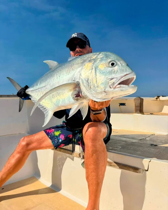NOVINKA NA FISHTIME! 🌴🦈☀️

🌍 MADAGASKAR – NOSY MITSIO

Existují místa, kam se většina rybářů nikdy nepodívá…

A pak existuje Nosy Mitsio.

🏝️ Zapomenuté souostroví v Indickém oceánu.
🐠 Tyrkysová voda.
🪸 Korálové útesy.
💥 A ryby, které jste dosud vídali jen v televizních dokumentech.

Tady zažijete neskutečné boje například s GT, tuňáky, wahoo, barrakudami, mahi-mahi, plachetníky nebo modrými marlíny. Každý záběr může být životní rybou. Místní vody jsou téměř nedotčené průmyslovým rybolovem a patří mezi nejdivočejší revíry na světě.

Po lovu vás čekají bílé pláže bez davů turistů, tropická příroda a západy slunce, které vypadají jako z filmu.

Tohle není dovolená - tohle je expedice, na kterou budete vzpomínat celý život.
A pozor! Slovenské zastoupení přímo na místě! 👍

Napiš nám pro více informací! ;) 

Petrův zdar, Jirka
 #madagascar #madagaskar #biggame #biggamefishing #fıshtıme #adventure #adventuretravel
