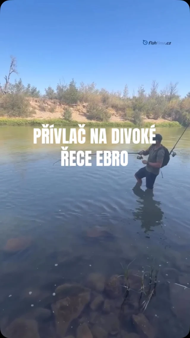 Sleduj naše výpravy a vyber si tu svou! Další dny byly ve znamení menších, za to cenných a vydřených sumců. 🤩🐟
Nespočet hodů, ale ty kopance a boje za to stojí! 
Už teď se mi po nich stýská a těším se až vyrazíme zas! 💪#fishtime #fishing #sumec #spinfishing #siluro